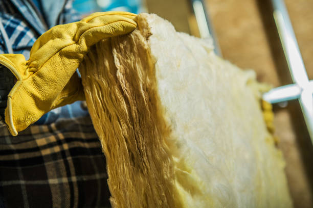 Best Geographic-Specific Insulation Services in Clarkston, GA