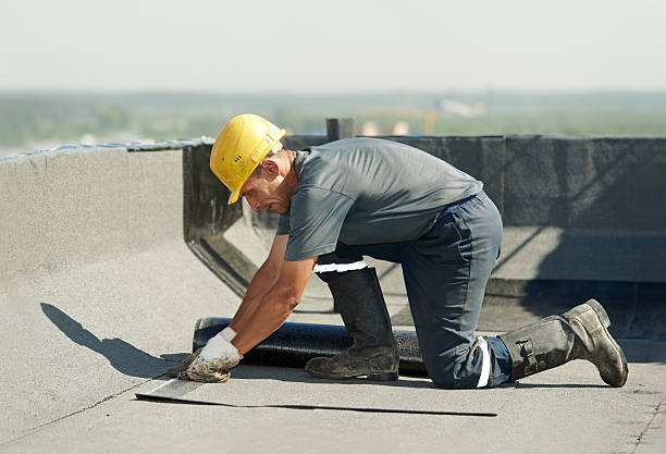 Best Cellulose Insulation in Clarkston, GA